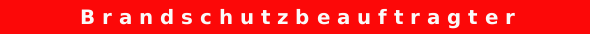 Brandschutzbeauftragter3